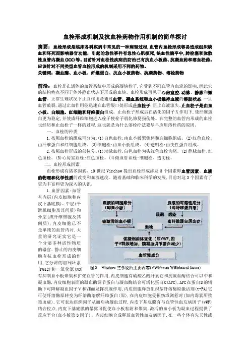 血栓形成机制及抗血栓药物作用机制的简单探讨