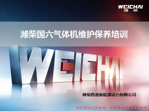 潍柴国六气体机零部件维护保养
