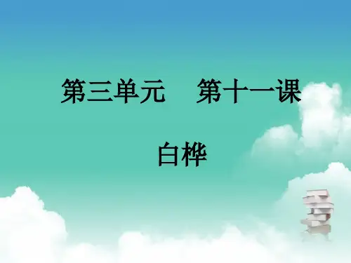 部编版四年级下册语文  第三单元 第十一课 白桦 PPT