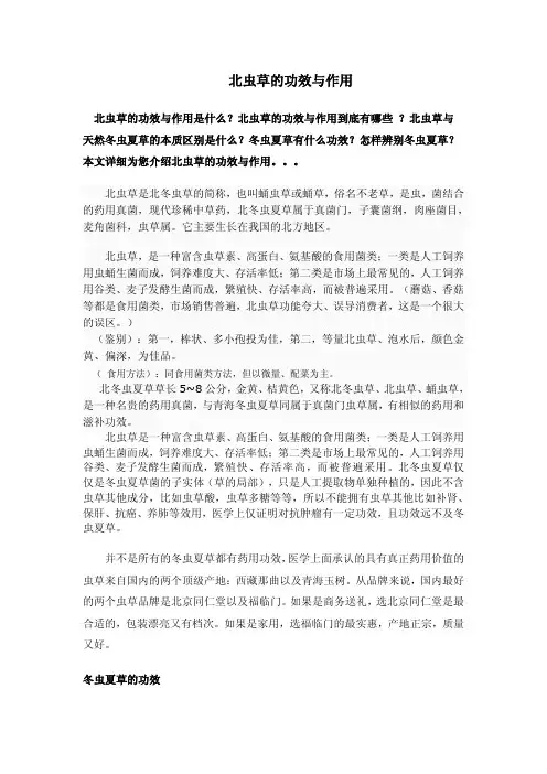 北虫草的功效与作用