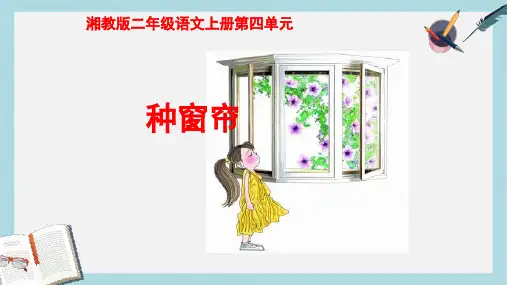 新湘教版小学二年级语文上册第四单元种窗帘课件1