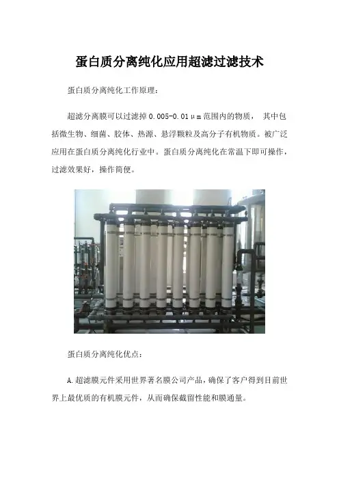 蛋白质分离纯化应用超滤过滤技术