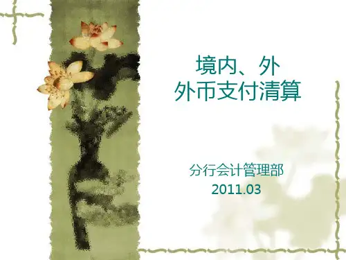 境内外外币支付清算