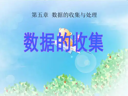 《数据的收集》数据的收集与处理PPT3 图文