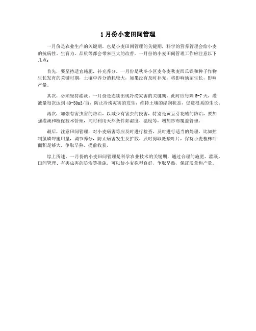 1月份小麦田间管理