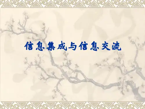 信息集成与信息交流 ppt课件