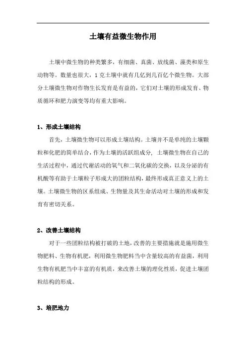 土壤有益微生物作用