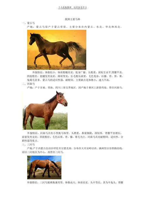 我国主要马种