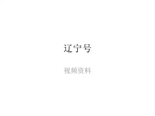 国家的儿子