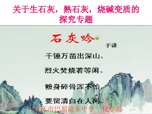 徐寿坤公开课++碱石灰变质探究专题2
