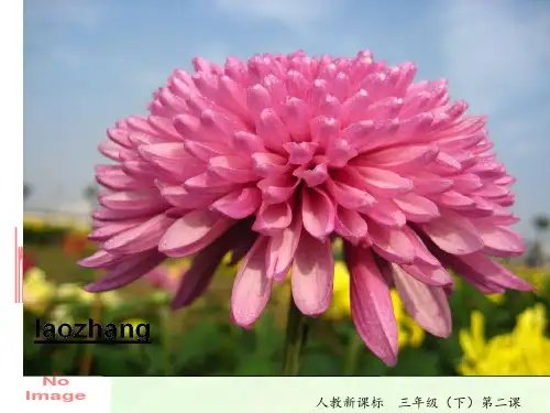 小学美术重重复复精品PPT课件
