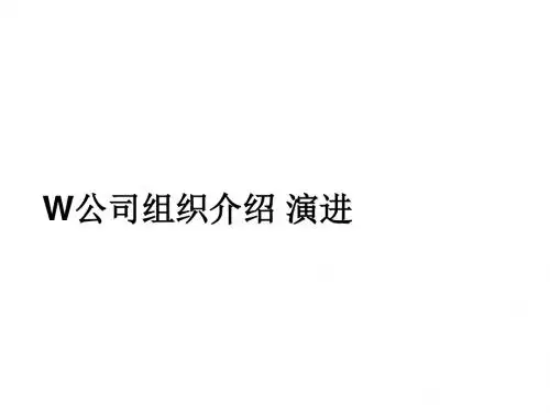 华为组织结构 PPT课件