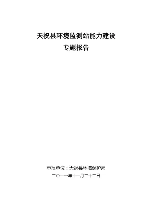 专题报告