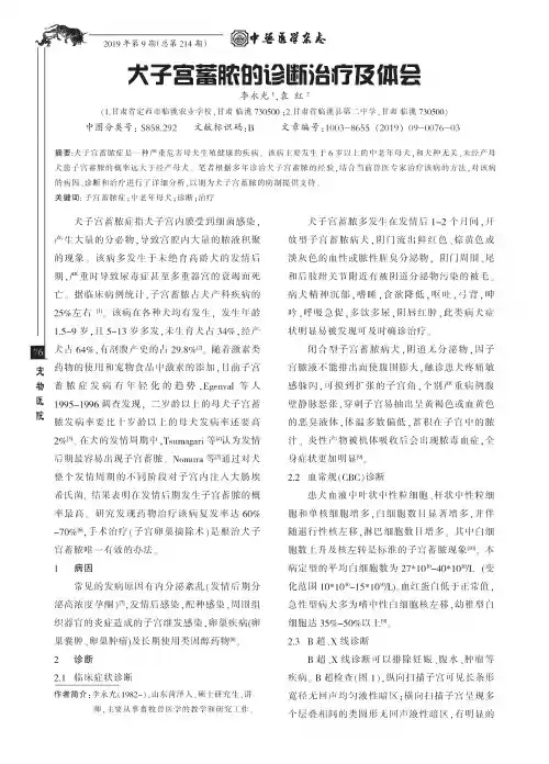 犬子宫蓄脓的诊断治疗及体会