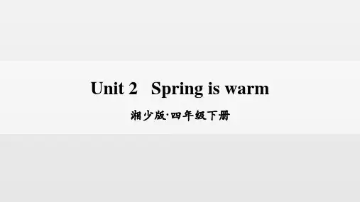 Unit2Springiswarm.