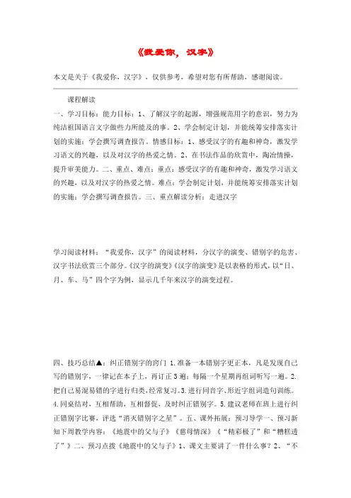 《我爱你,汉字》_教案教学设计