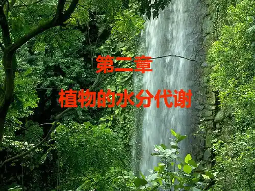 第二章  车-植物的水分代谢(第1,2节)