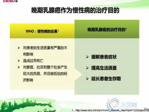 晚期乳腺癌治疗策略