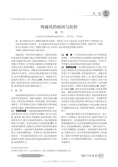 鸡痛风的病因与防控