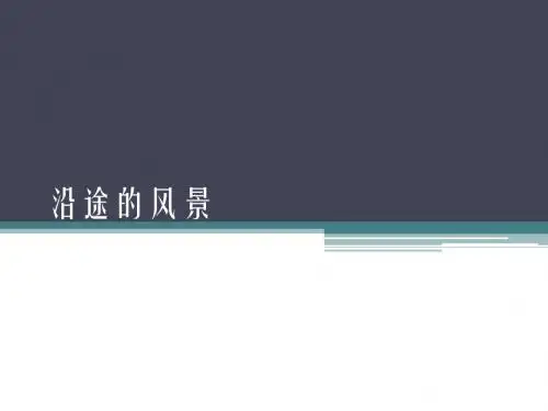 沿途的风景