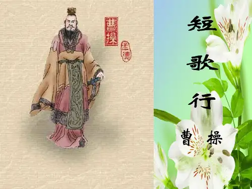 人教版高中语文必修二2.7短歌行新1课件