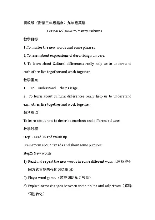 冀教版英语九年级全一册 Unit 8：Lesson 46 Home to Many Cultures
