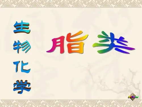 2脂类