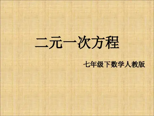 新人教版七年级数学下册《八章 二元一次方程组 一次方程组的古今表示及解法》课件_13