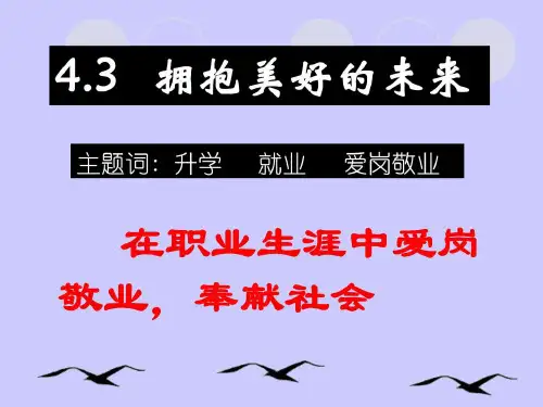在职业生涯中爱岗敬业,奉献社会.ppt