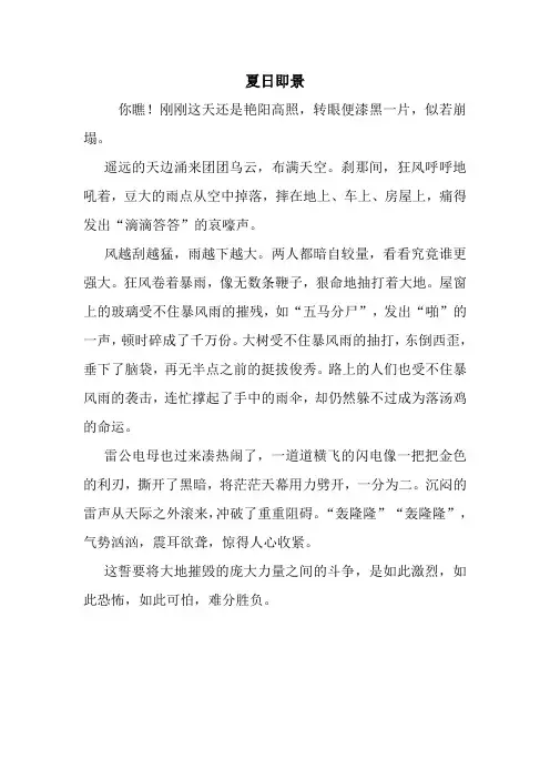 最新夏日即景 读后感随笔