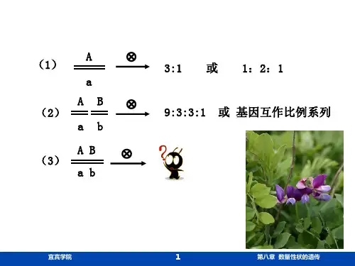 5、数量性状的遗传