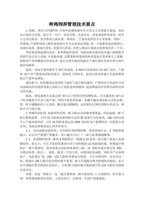 种鸡饲养管理技术要点