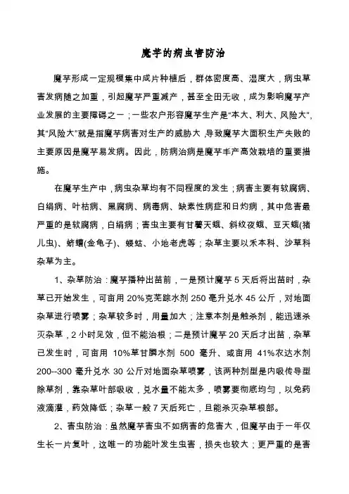魔芋的病虫害防治
