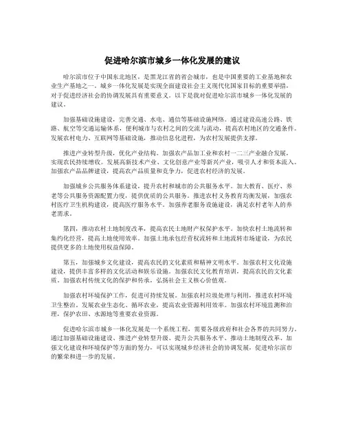 促进哈尔滨市城乡一体化发展的建议