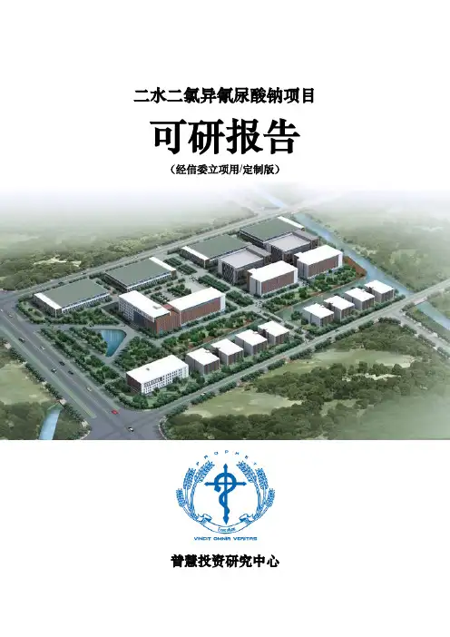二水二氯异氰尿酸钠项目可研报告经信委立项用(定制版)