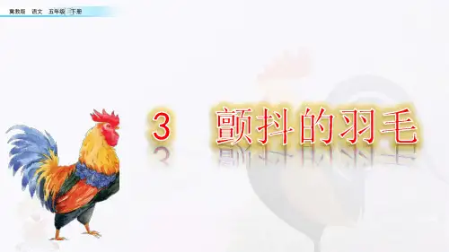 冀教版五年级语文下册《一单元  3. 颤抖的羽毛》教学设计_6