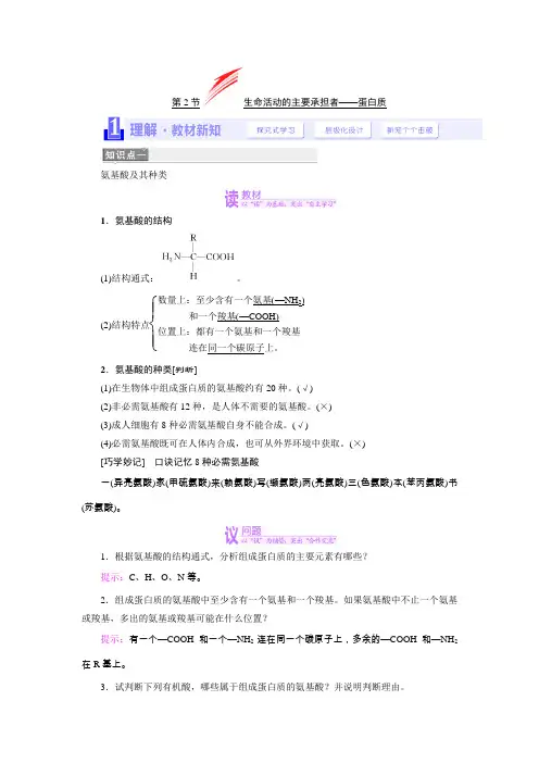 蛋白质答案
