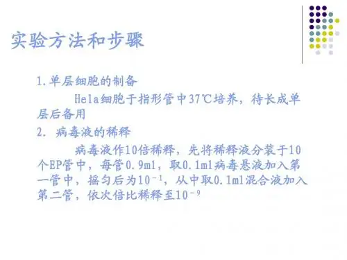 病毒TCID50测定的病毒接种`