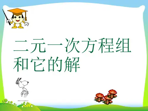 【最新】华师大版七年级数学下册第七章《二元一次方程组和它的解》优质公开课课件 (2).ppt