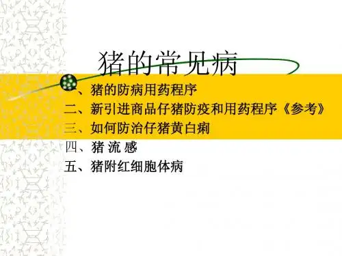 猪的常见病