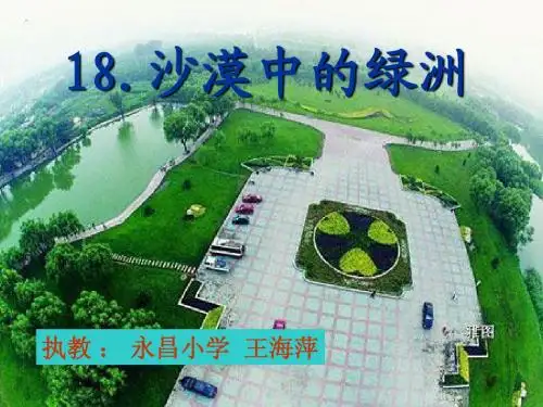 18  沙漠中的绿洲(第二课时) 课件