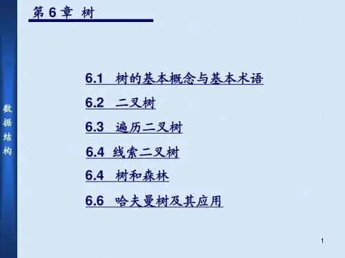 严蔚敏数据结构 ch6 树和二叉树