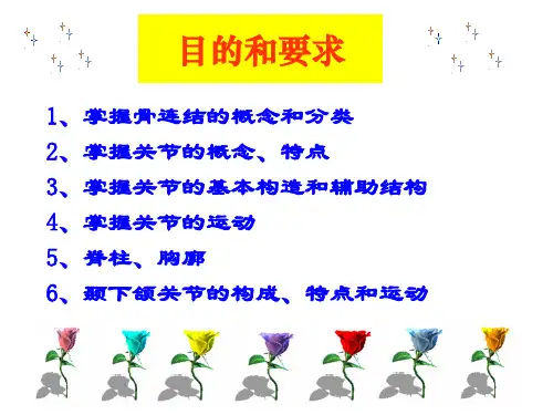 《系统解剖学》教学课件：第二章 关节学