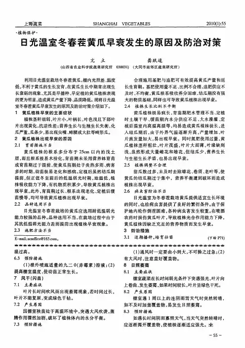 日光温室冬春茬黄瓜早衰发生的原因及防治对策