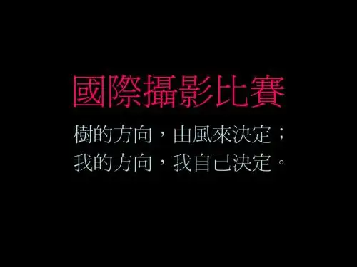 国际摄影大赛 获奖作品