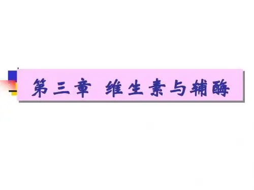 6 维生素与辅酶