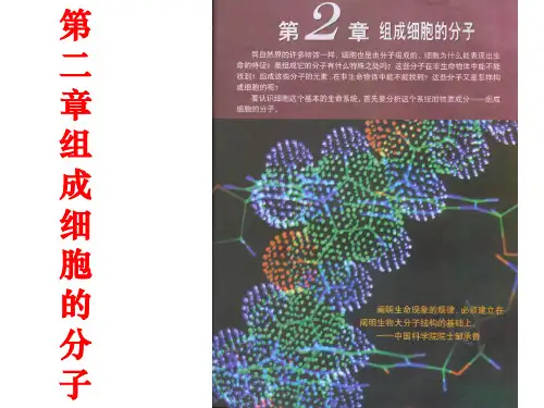 人教版高中生物必修1第2章第1节 细胞中的元素和化合物课件(4)