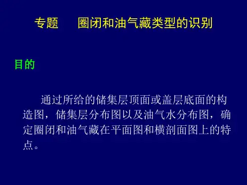 圈闭和油气藏类型判别