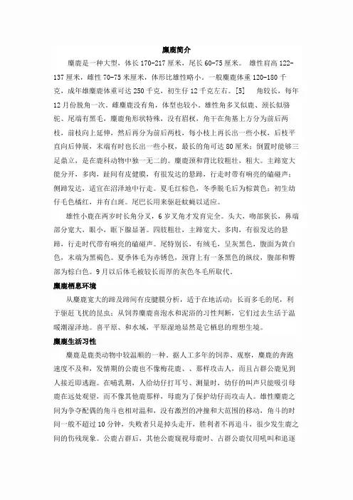 麋鹿简介