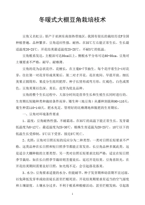 冬暖大棚豆角栽培技术